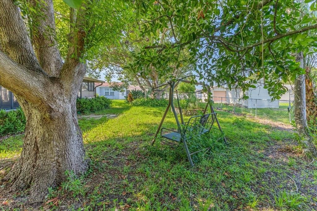 Fenced Backyard