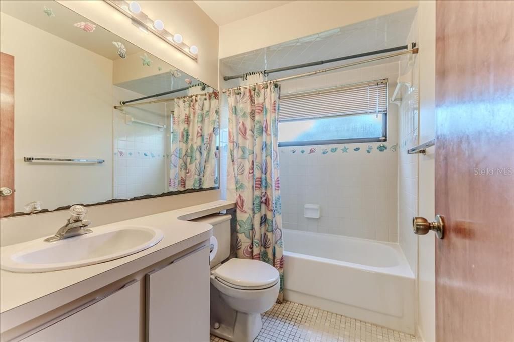 Guest Bathroom Tub / Shower