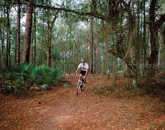 Gulf Coast Outdoors