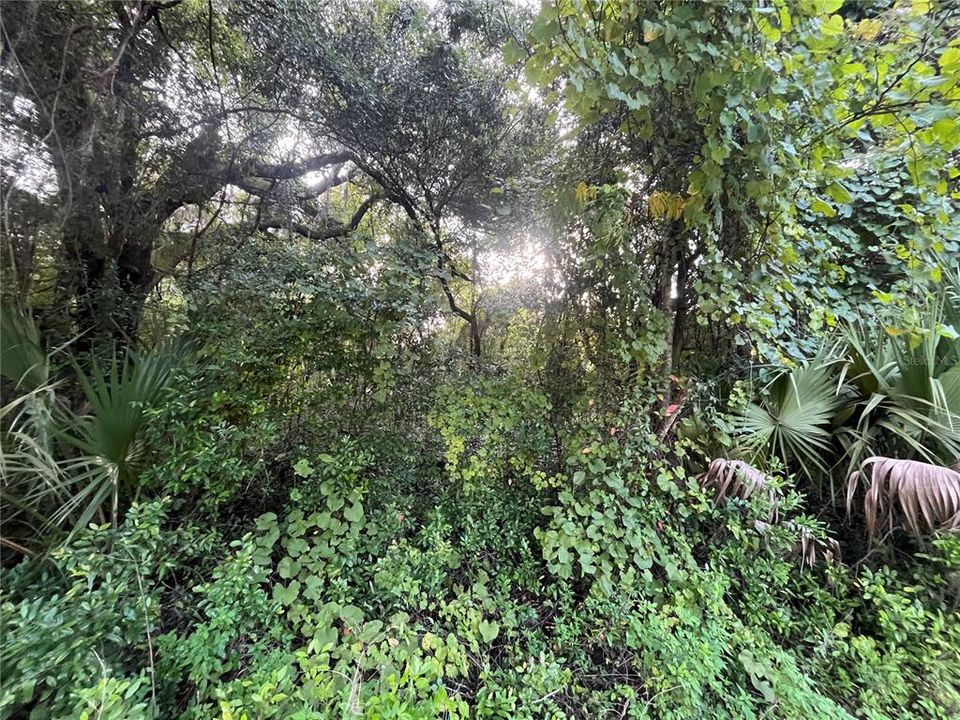 En Venta: $8,400 (0.22 acres)