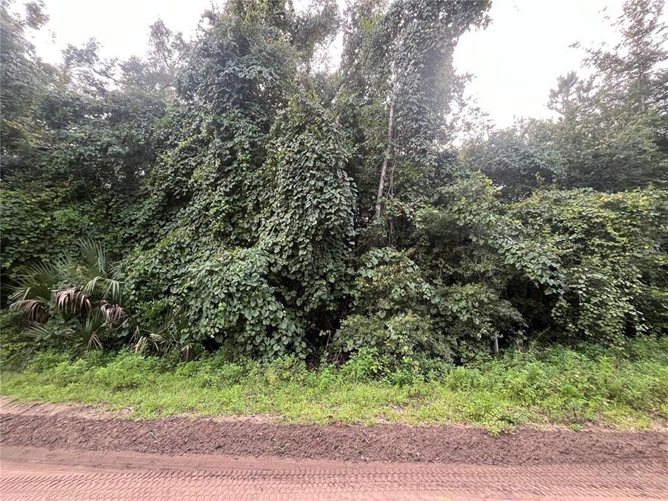 En Venta: $8,400 (0.22 acres)