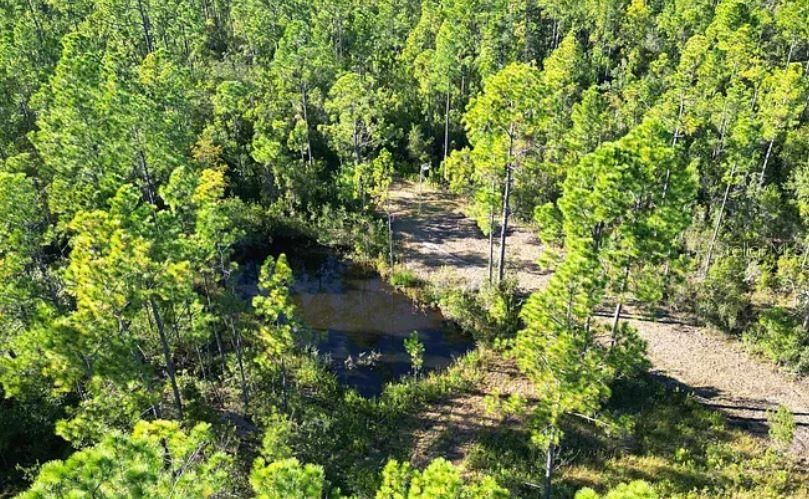 For Sale: $9,500 (2.00 acres)