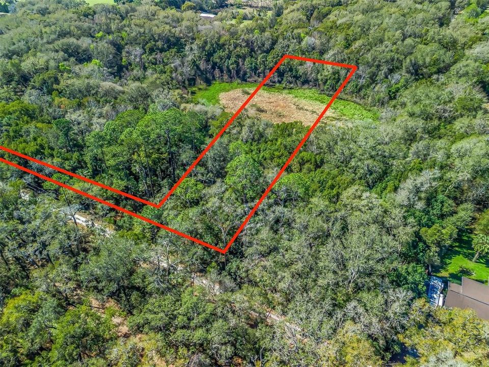 For Sale: $89,900 (3.00 acres)