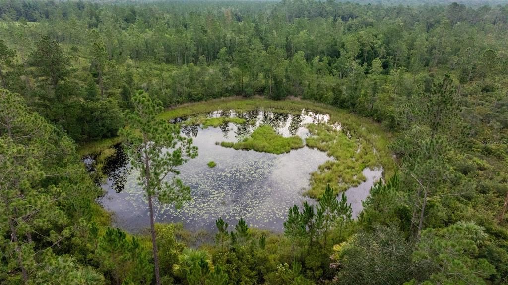 1.25± acre pond.