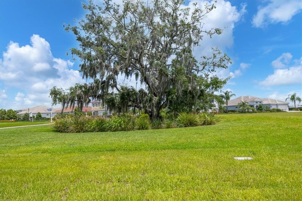 Private yard with preserve view.