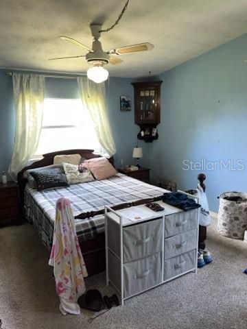 Main Bedroom with Natural Light