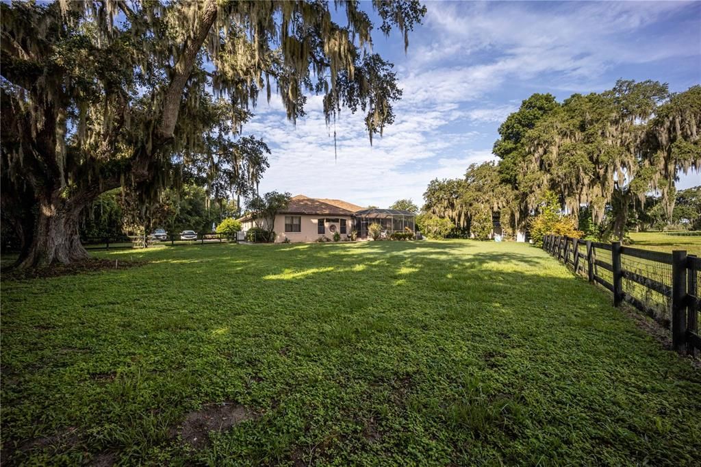 Fenced-in Backyard