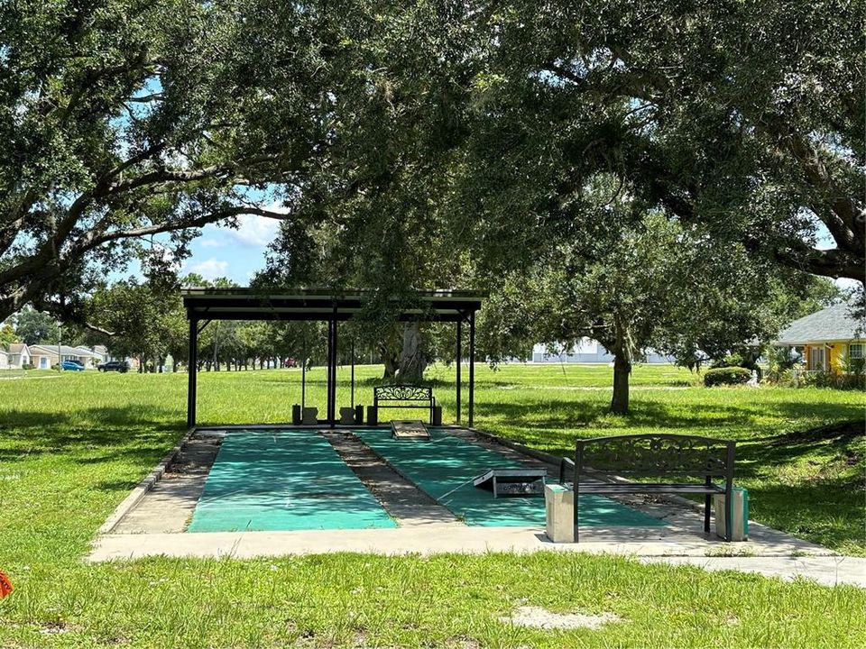 Shuffleboard