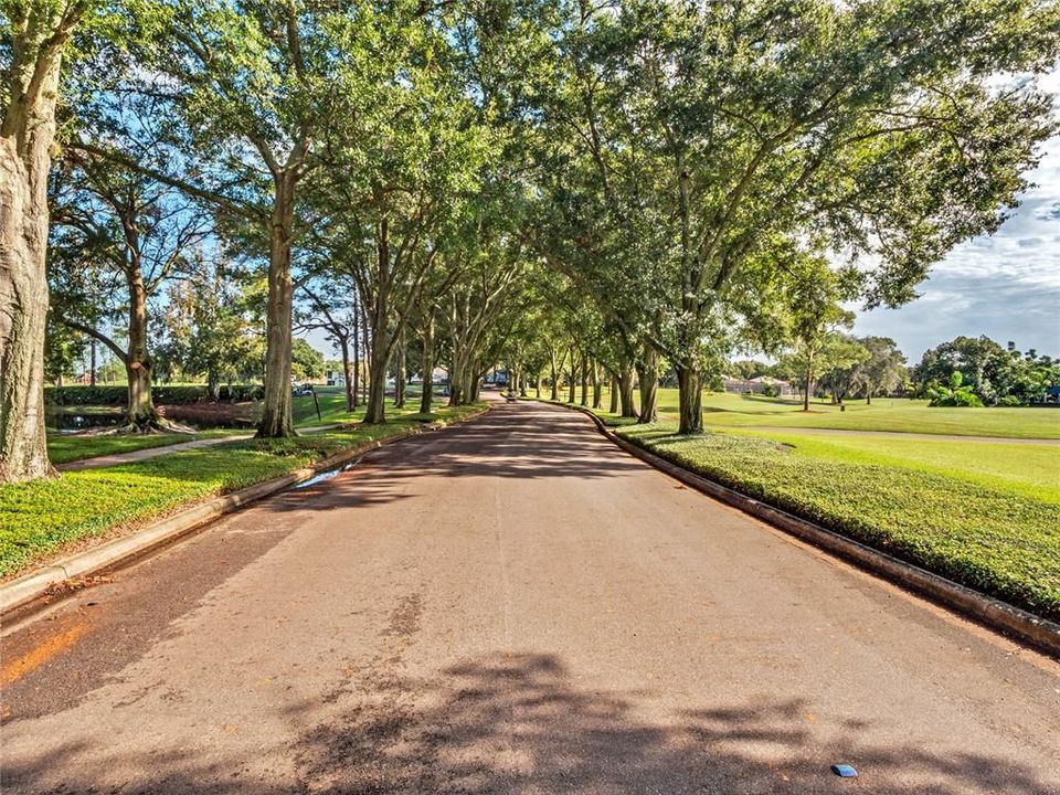 Streets of Heathrow are accented by hundreds  of majestic oak trees