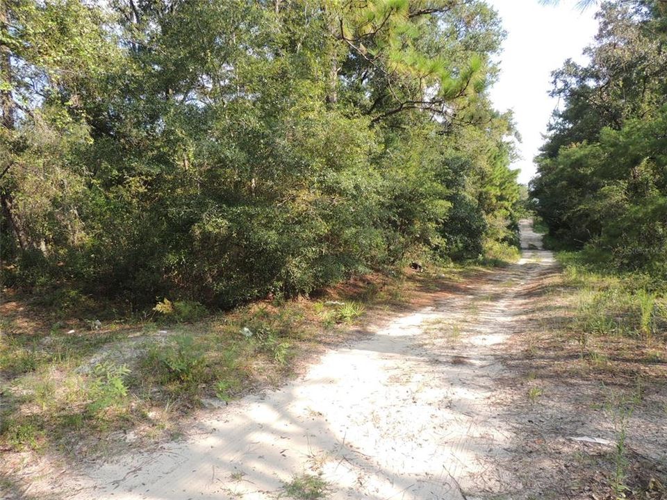 For Sale: $24,500 (1.25 acres)