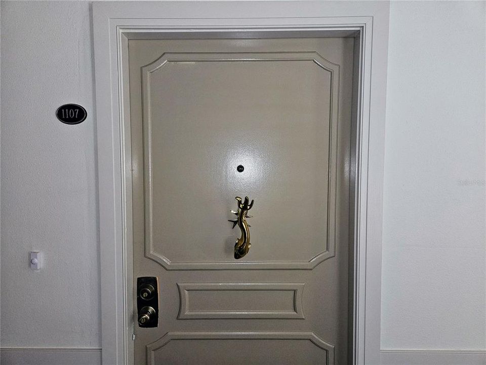 Unit Door