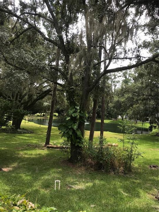 View of Alma’s Pond from deck.