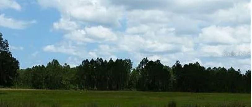 For Sale: $100,000 (1.25 acres)