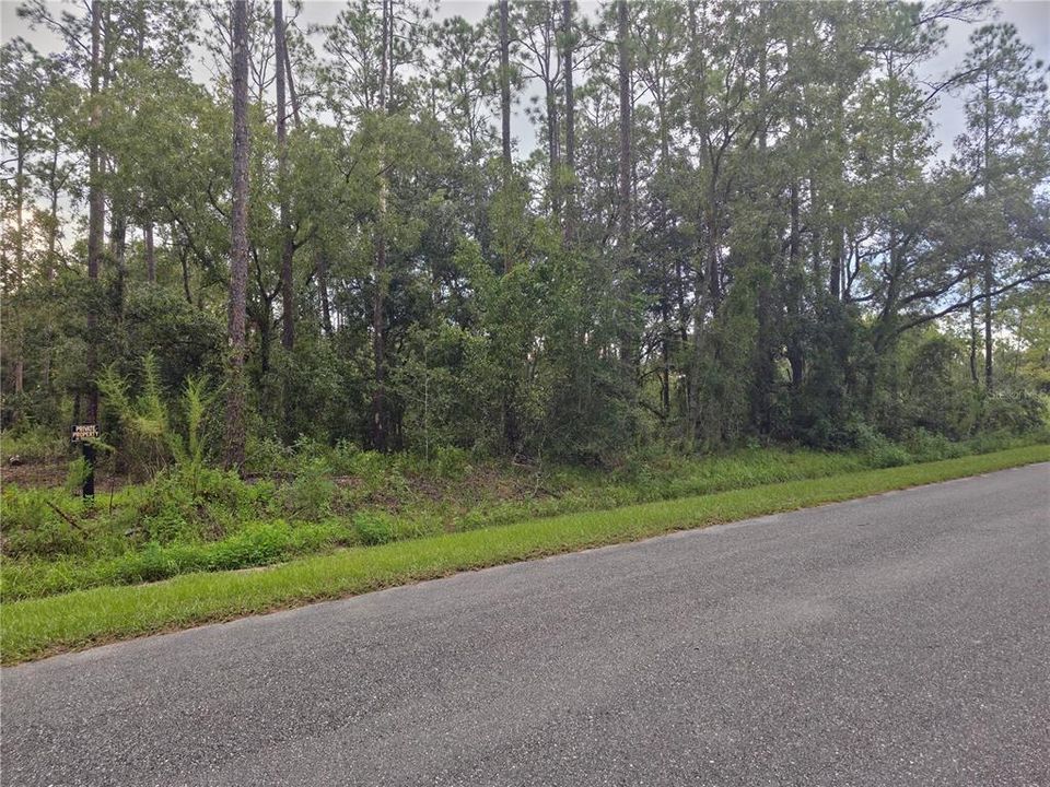 For Sale: $63,000 (2.05 acres)