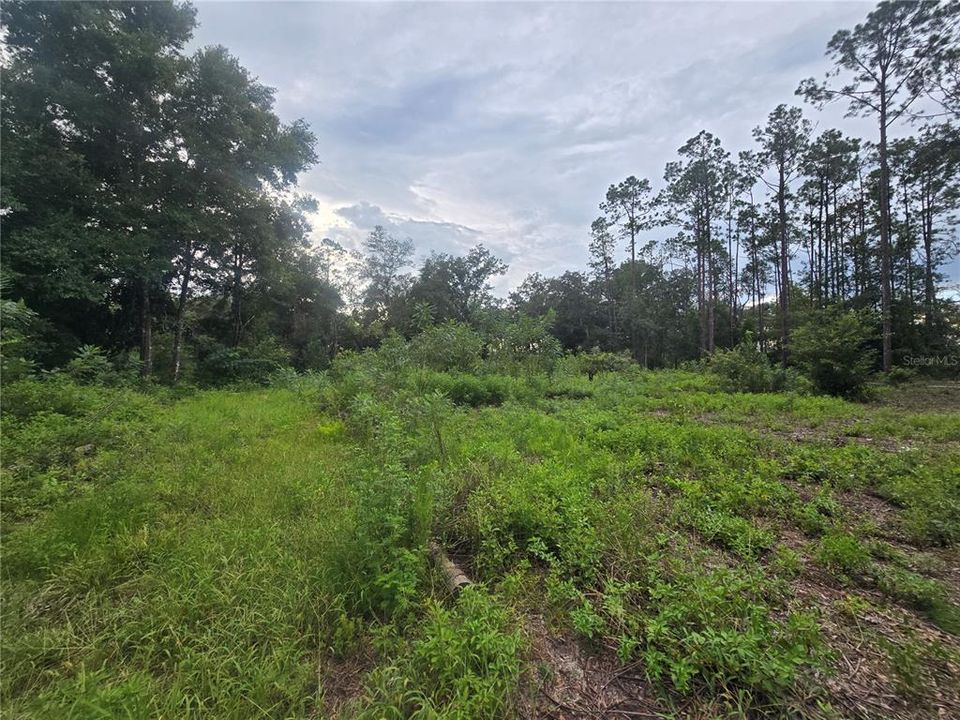 En Venta: $63,000 (2.05 acres)