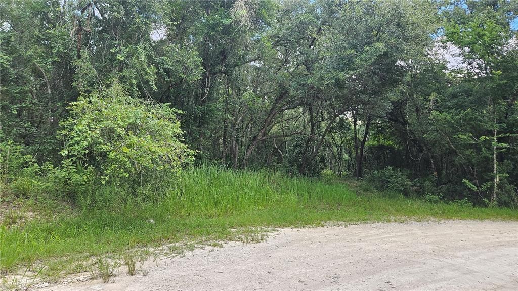 Recently Sold: $45,000 (0.98 acres)