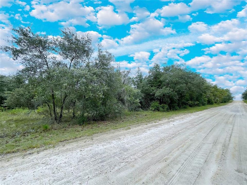 На продажу: $28,000 (1.25 acres)