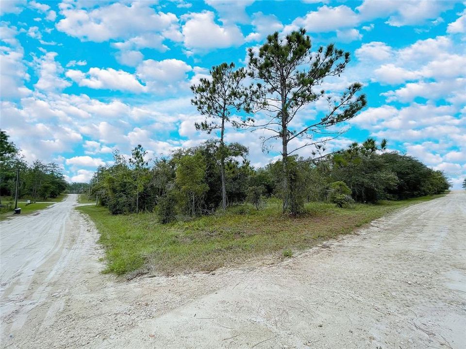 En Venta: $28,000 (1.25 acres)