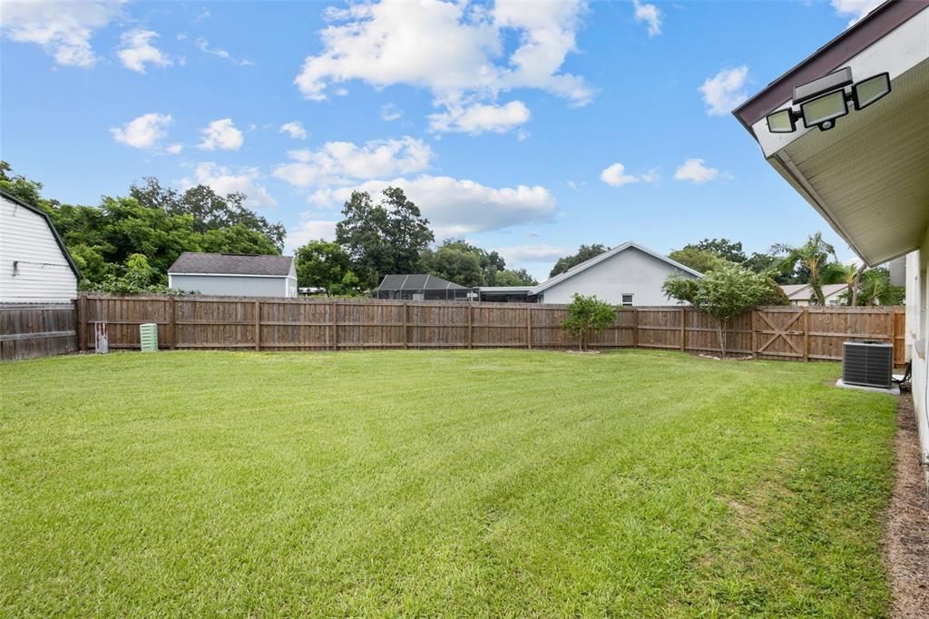 HUGE backyard