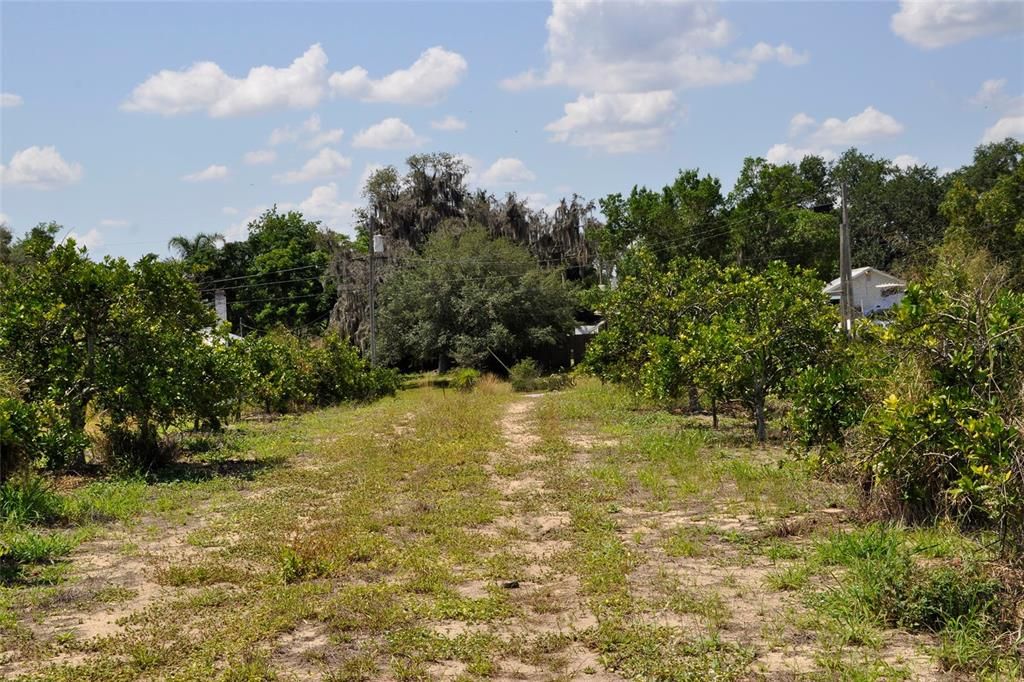 For Sale: $320,000 (7.11 acres)