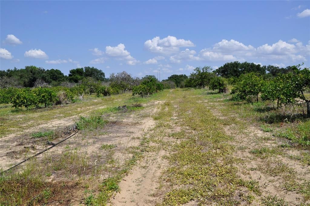 For Sale: $320,000 (7.11 acres)