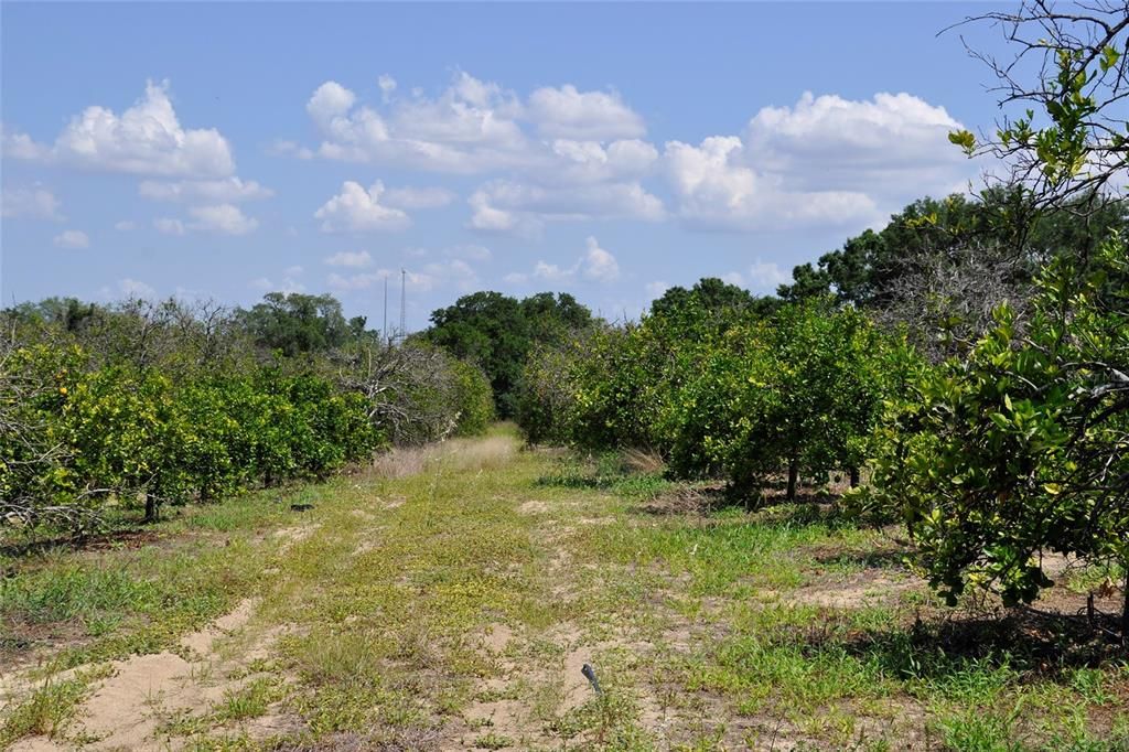 На продажу: $320,000 (7.11 acres)