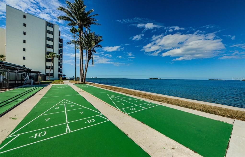 SHUFFLEBOARD