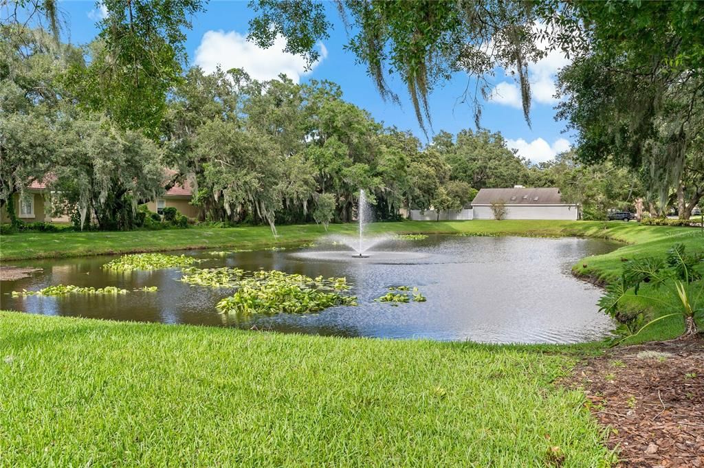 Pond at Entrance to Walden Oaks Neighborhood