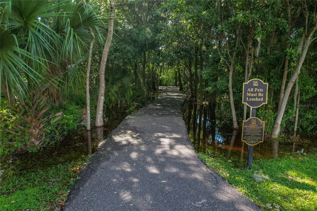 Walking Trail around Walden Lake