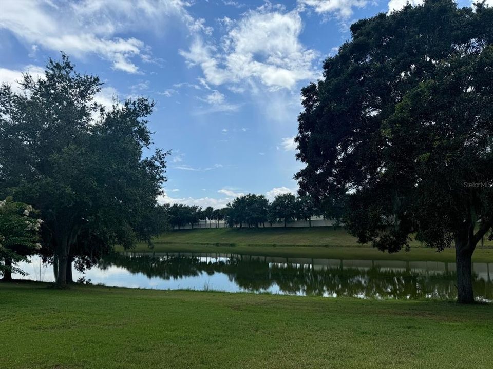 View to the pond