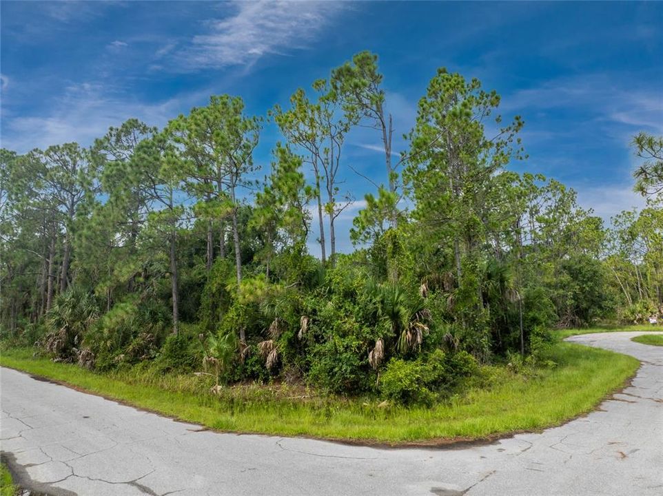 最近售出: $50,000 (0.55 acres)