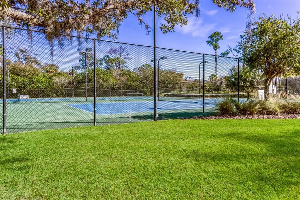 Tennis and pickleball courts