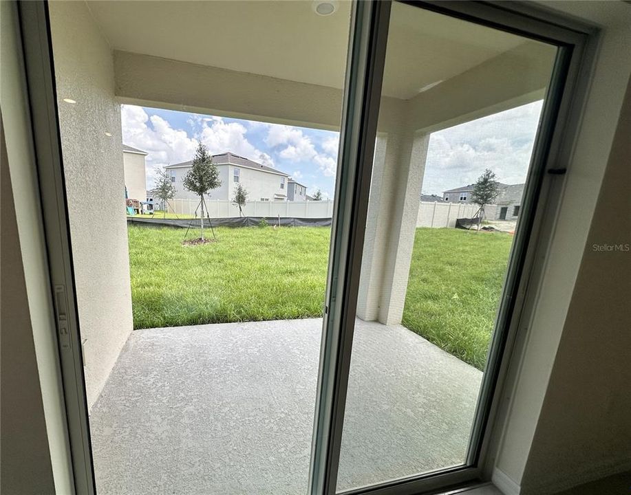 Sliding Glass Door, Back Patio and Backyard (blinds have been installed)