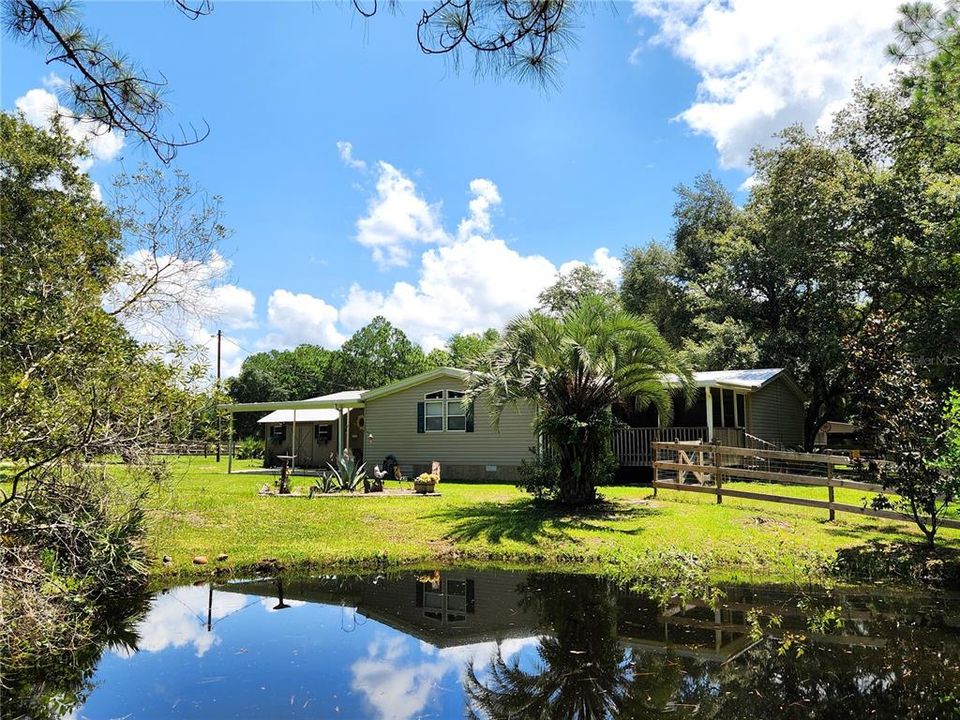 Pond View