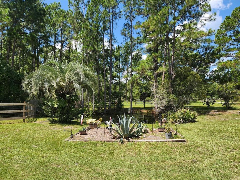 Landscaped Yard