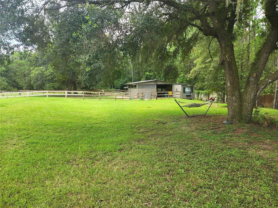 Barn View From Living Room