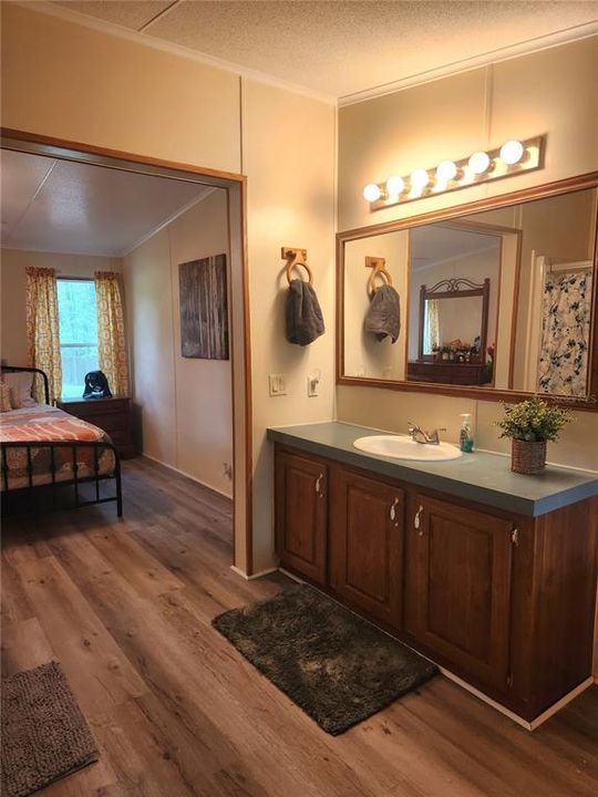 Master Bathroom Vanity