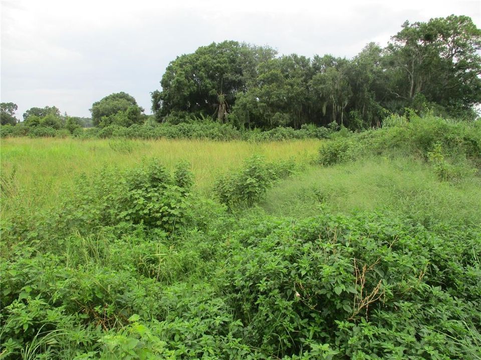 En Venta: $160,000 (2.54 acres)