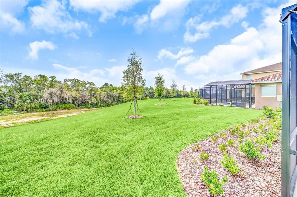 Backyard view and view of Lake