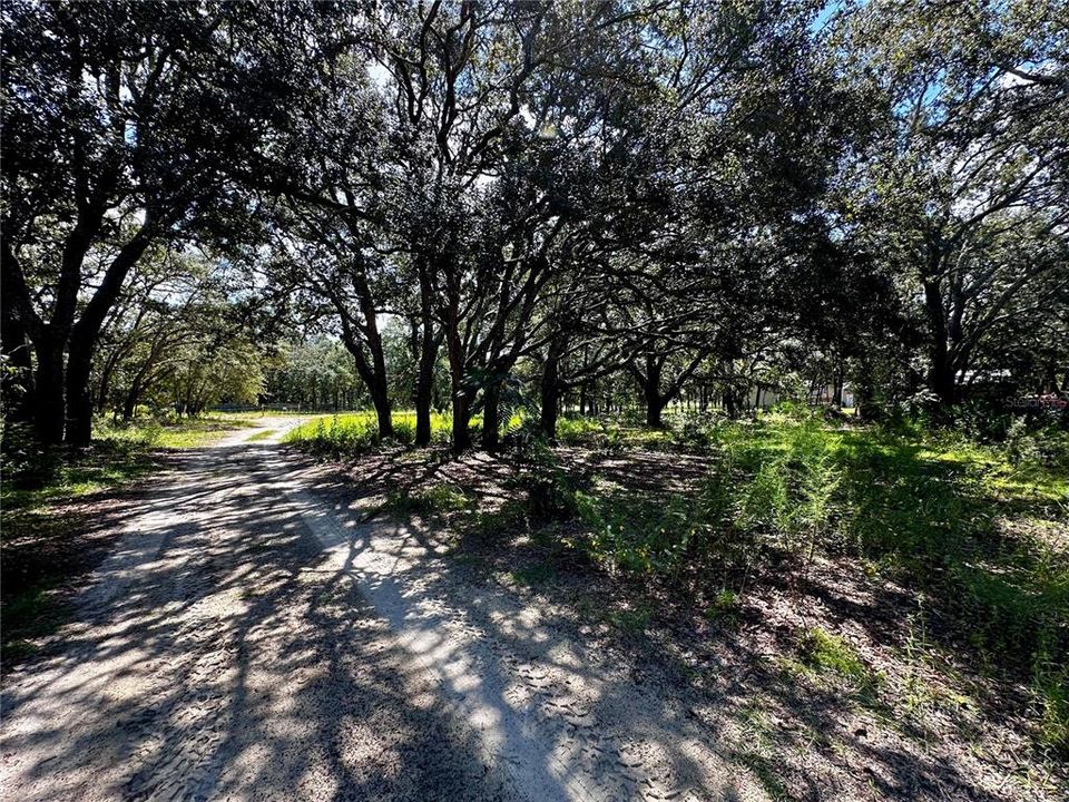 For Sale: $79,999 (2.33 acres)