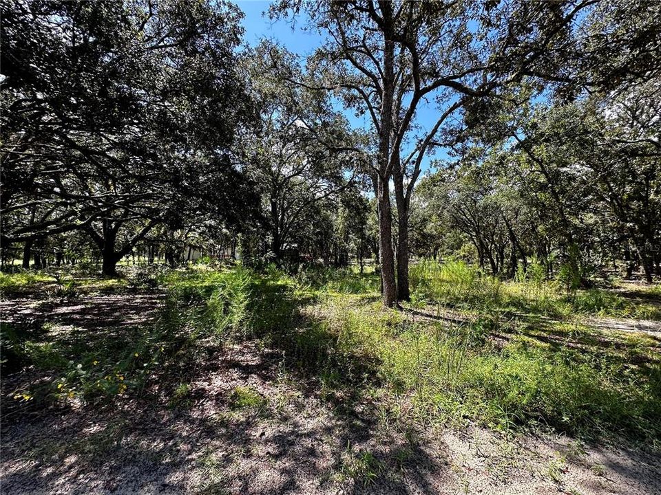 For Sale: $79,999 (2.33 acres)