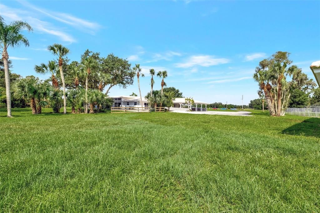 Looking towards the house from the back pasture.