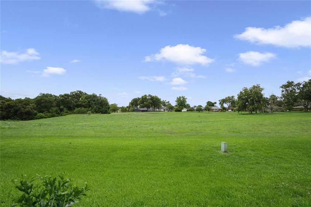 Backyard view