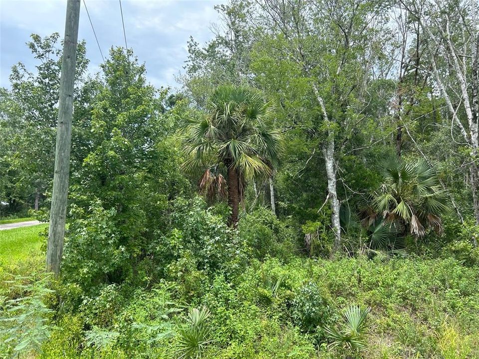 En Venta: $29,000 (0.93 acres)