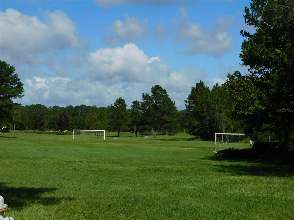 soccer field