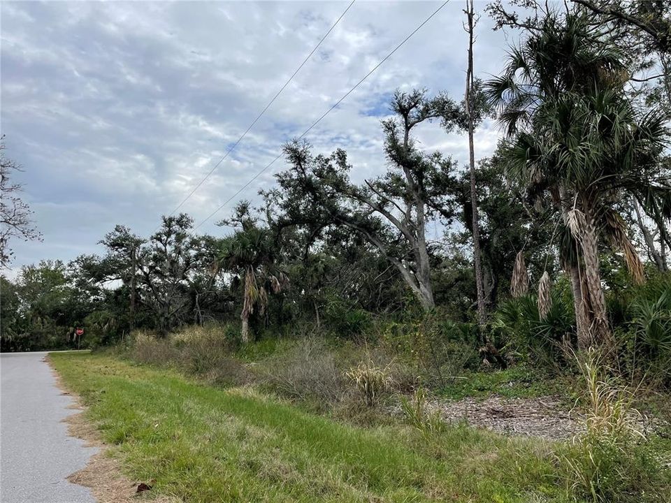 Active With Contract: $15,000 (0.23 acres)