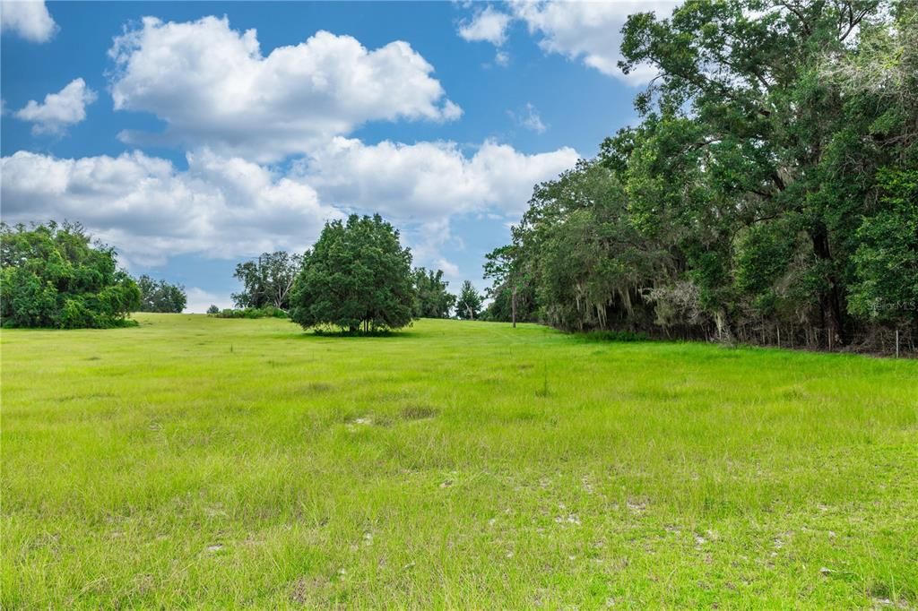 Back yard View