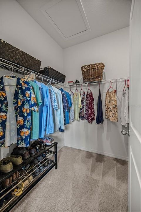 Primary Walk-in-Closet