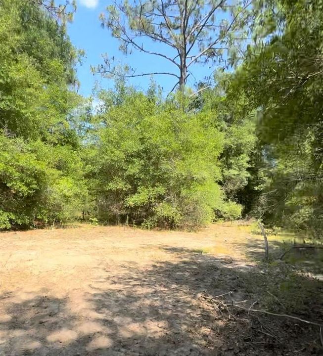 For Sale: $35,000 (0.25 acres)