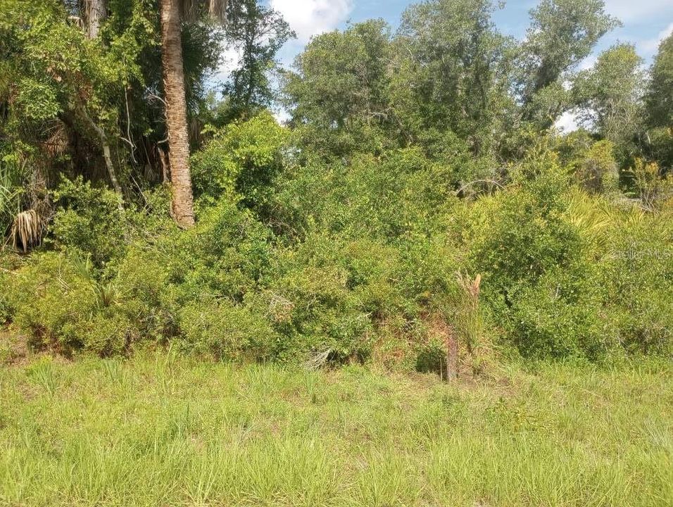 En Venta: $14,000 (0.23 acres)